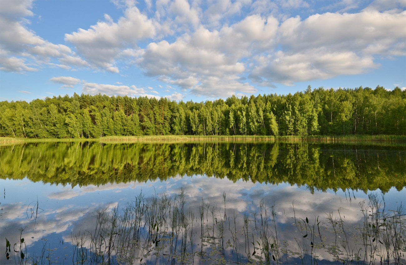 Маркеловское озеро Ленинградская область