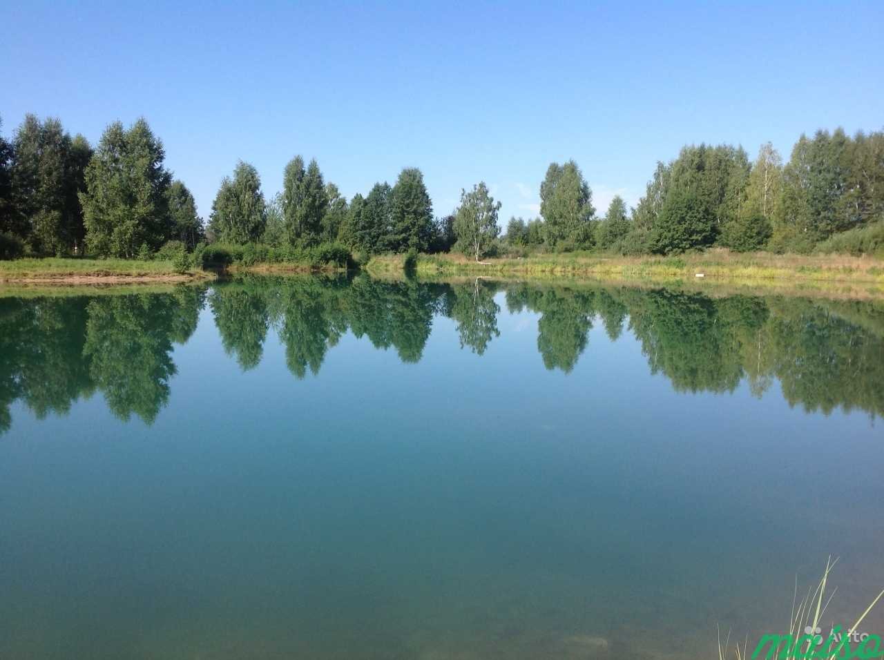 Озеро земснаряд нижний новгород автозаводский район фото