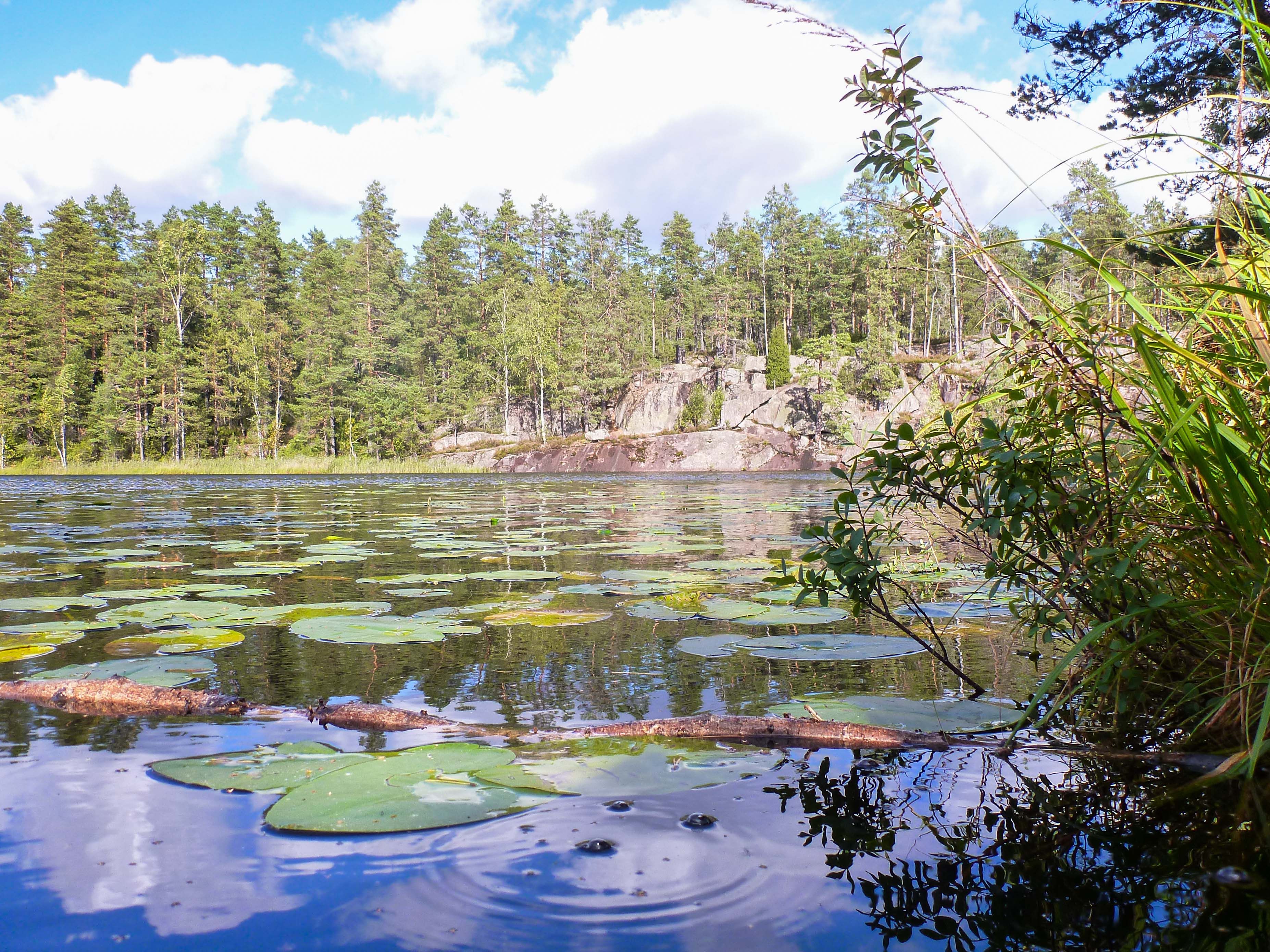 Названия финских озер