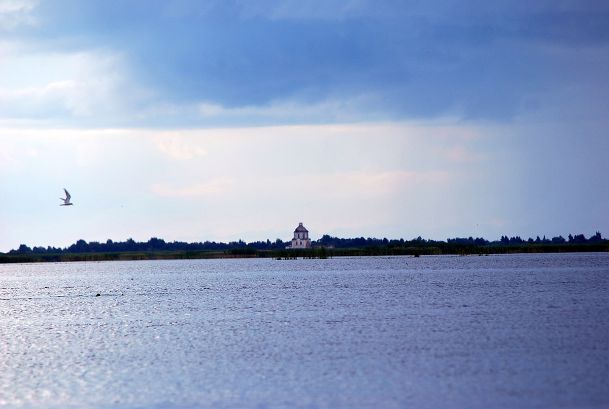 Озера Вологодской области белое озеро