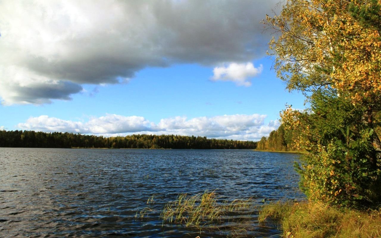 Белое озеро Вологодская область