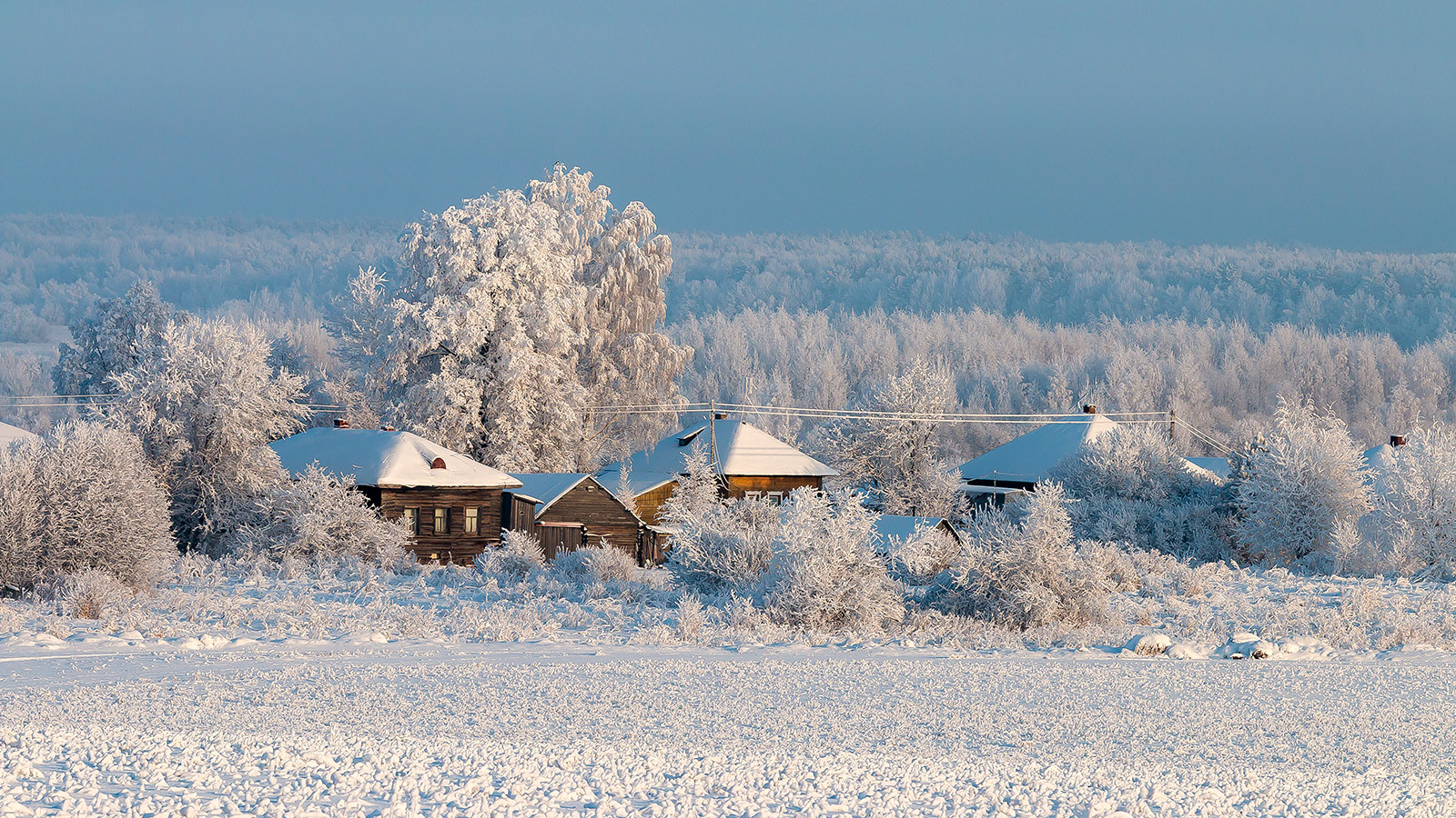 Алтайский край деревня зима