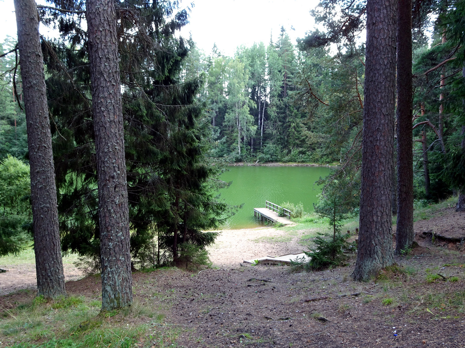 Леса Эстонии