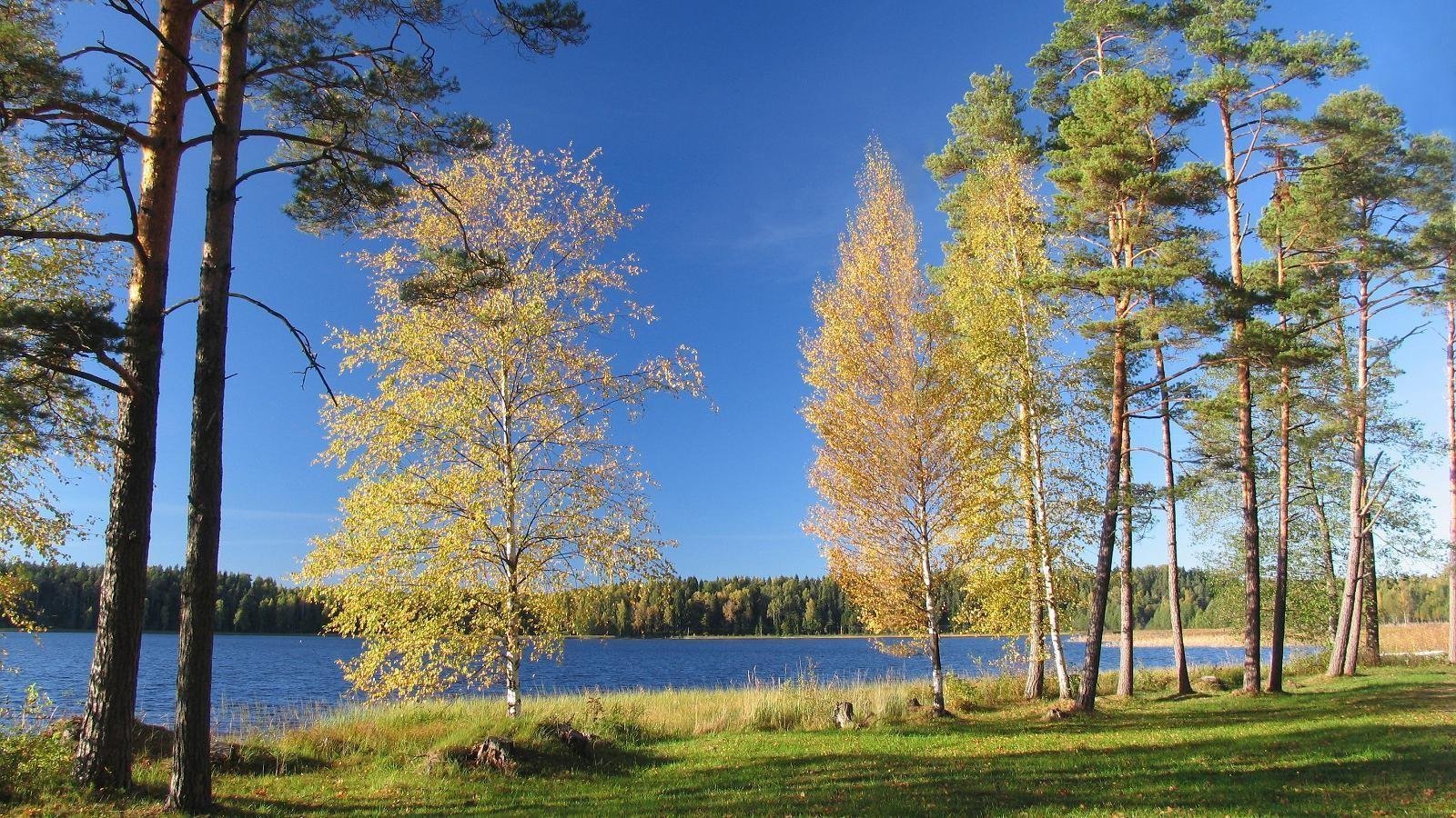 Озера национального парка Карула в Эстонии