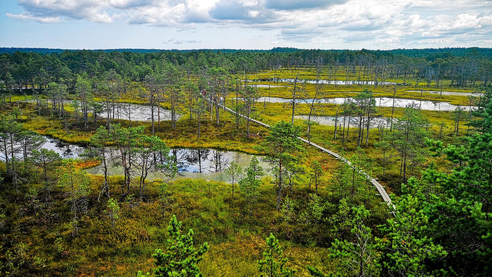 Национальный парк Лахемаа (г. Таллин)