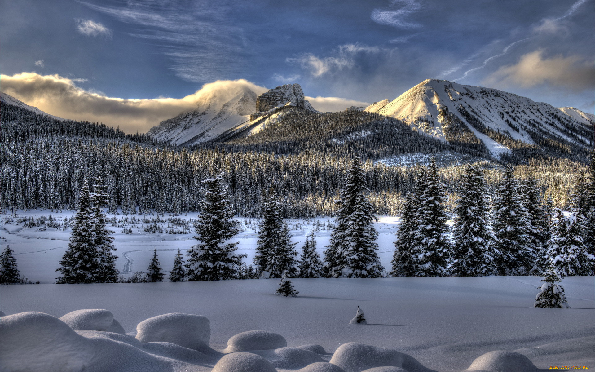 Зима лес горы