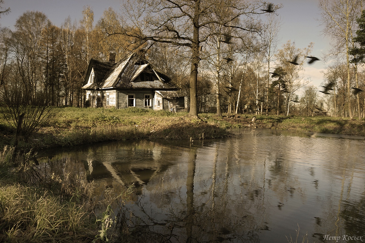 Заброшенные деревни Ленинградской области