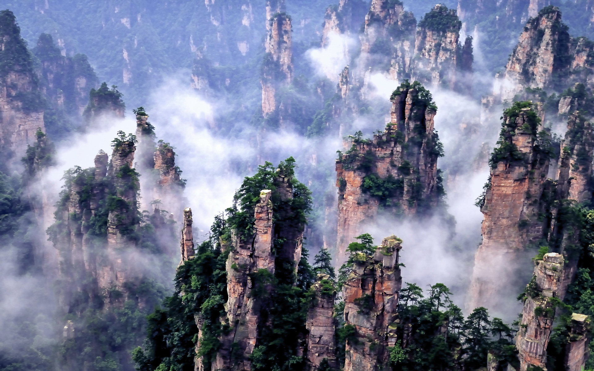 Основные горы китая. Национальный парк Чжанцзяцзе Китай. Национальный парк Улинъюань. Национальный парк Чжанцзяцзе (провинция Хунань). Горы Тяньцзи, Китай.