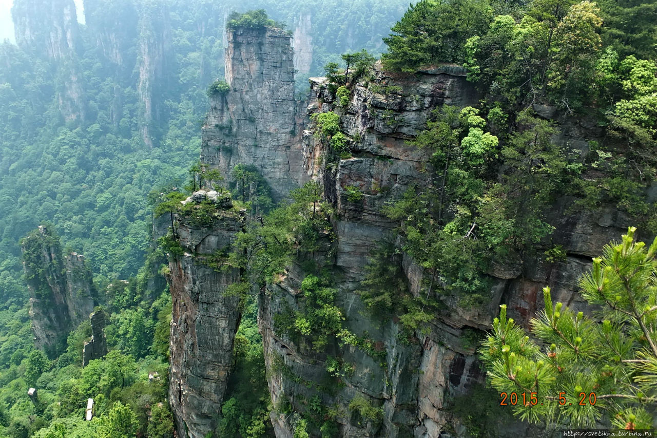 Чжанцзяцзе (национальный Лесной парк)