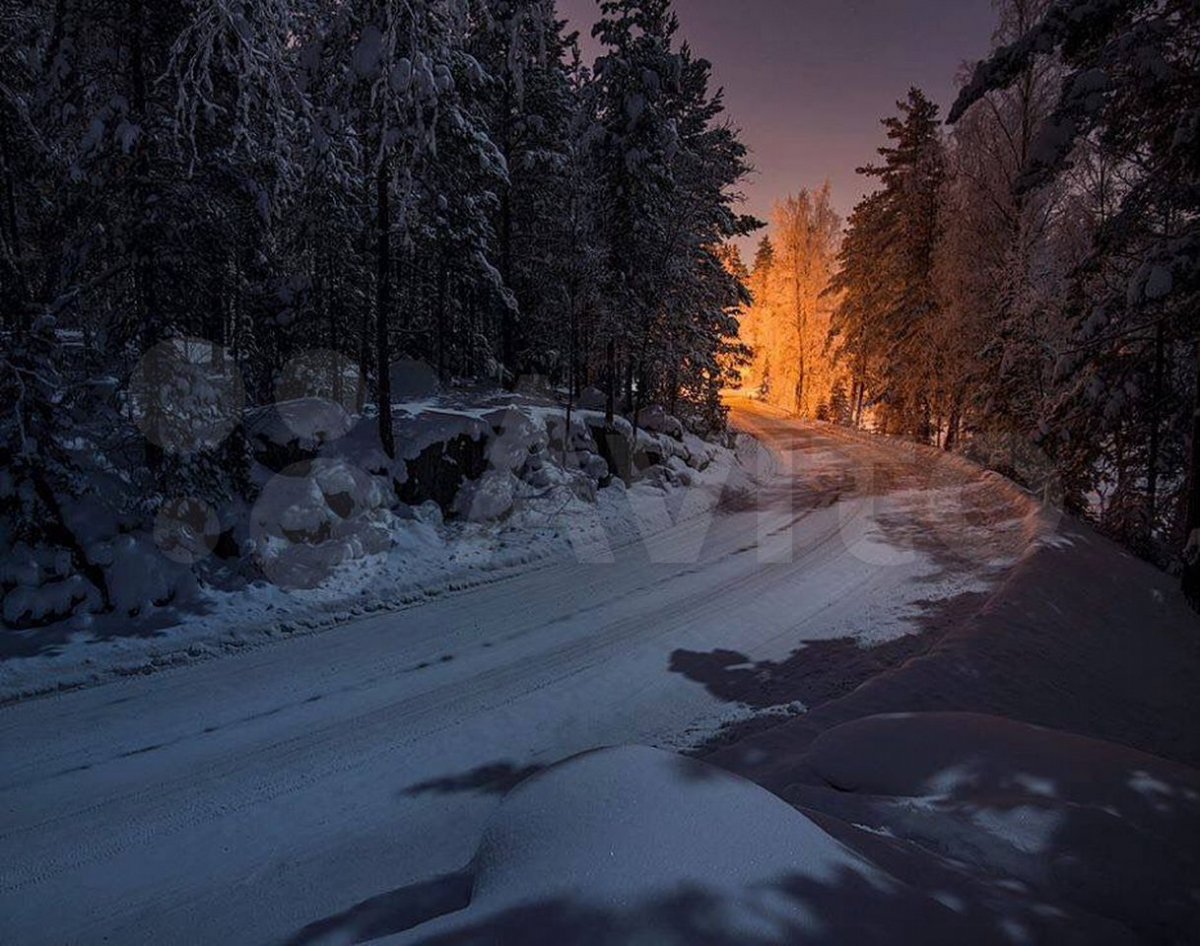 Зимняя дорога в лесу фото