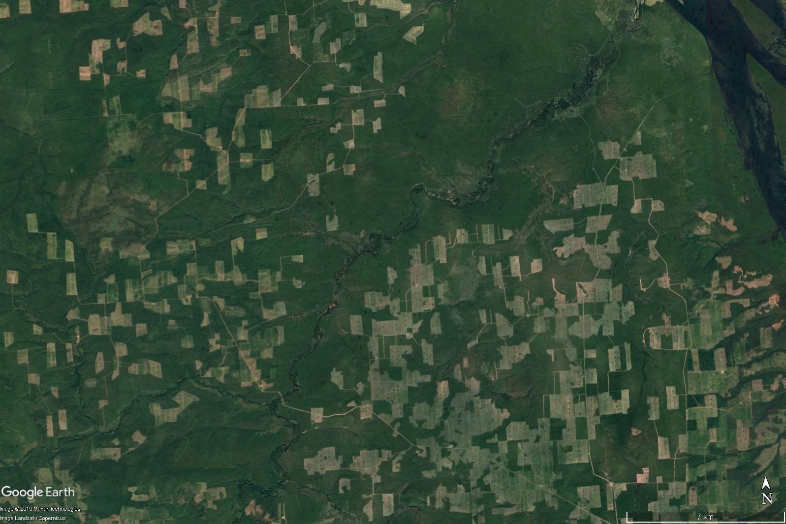 Вырубка лесов в Иркутской области со спутника