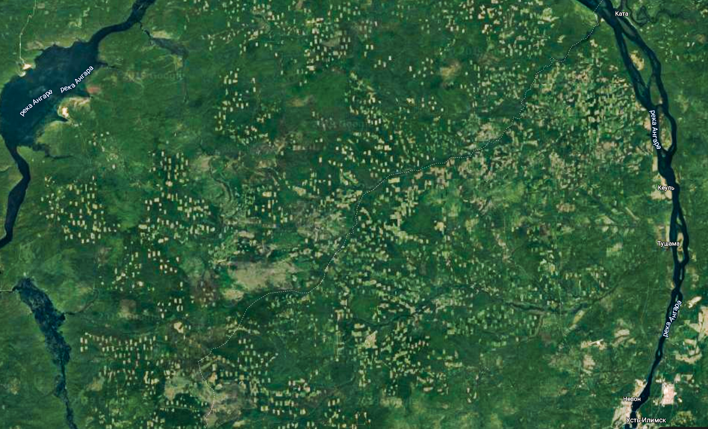 Вырубка леса в Иркутской области со спутника