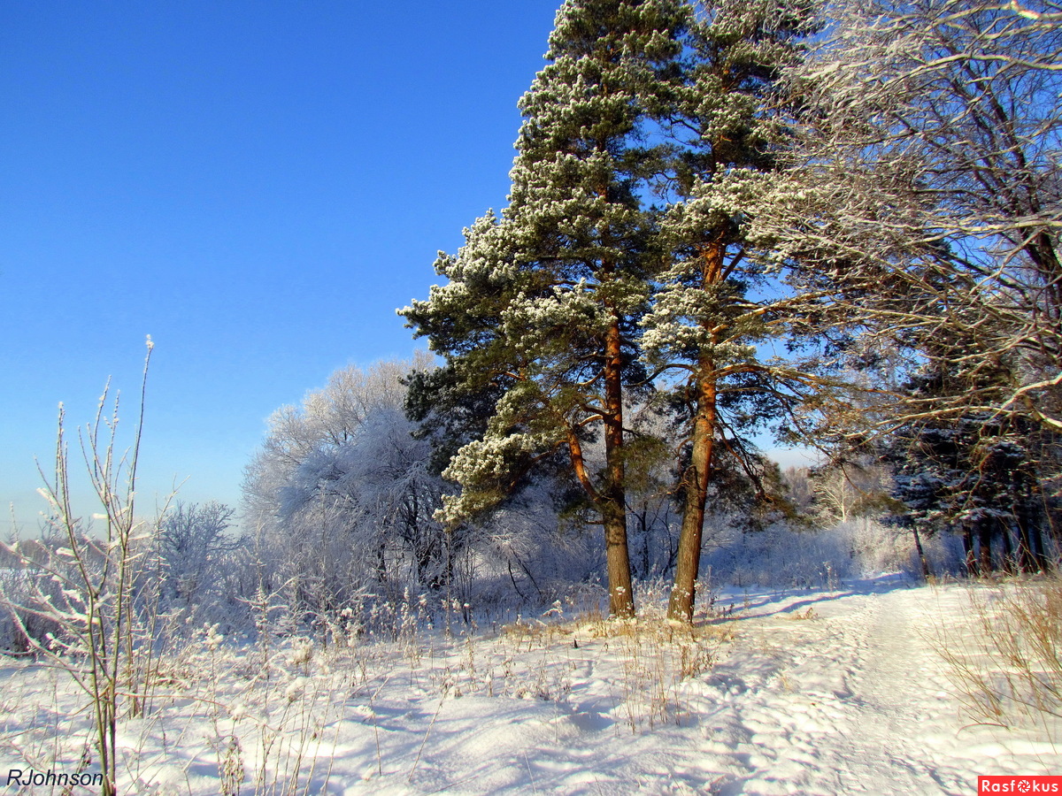 Зимняя природа Урала