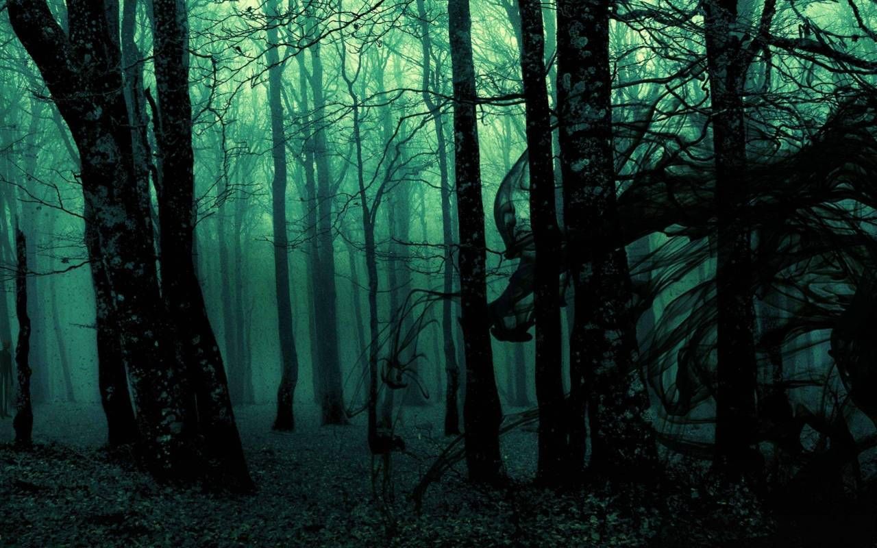 Темный лес забор