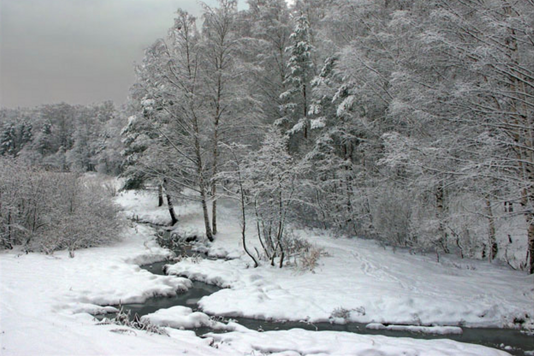 Зима ручей лес фото