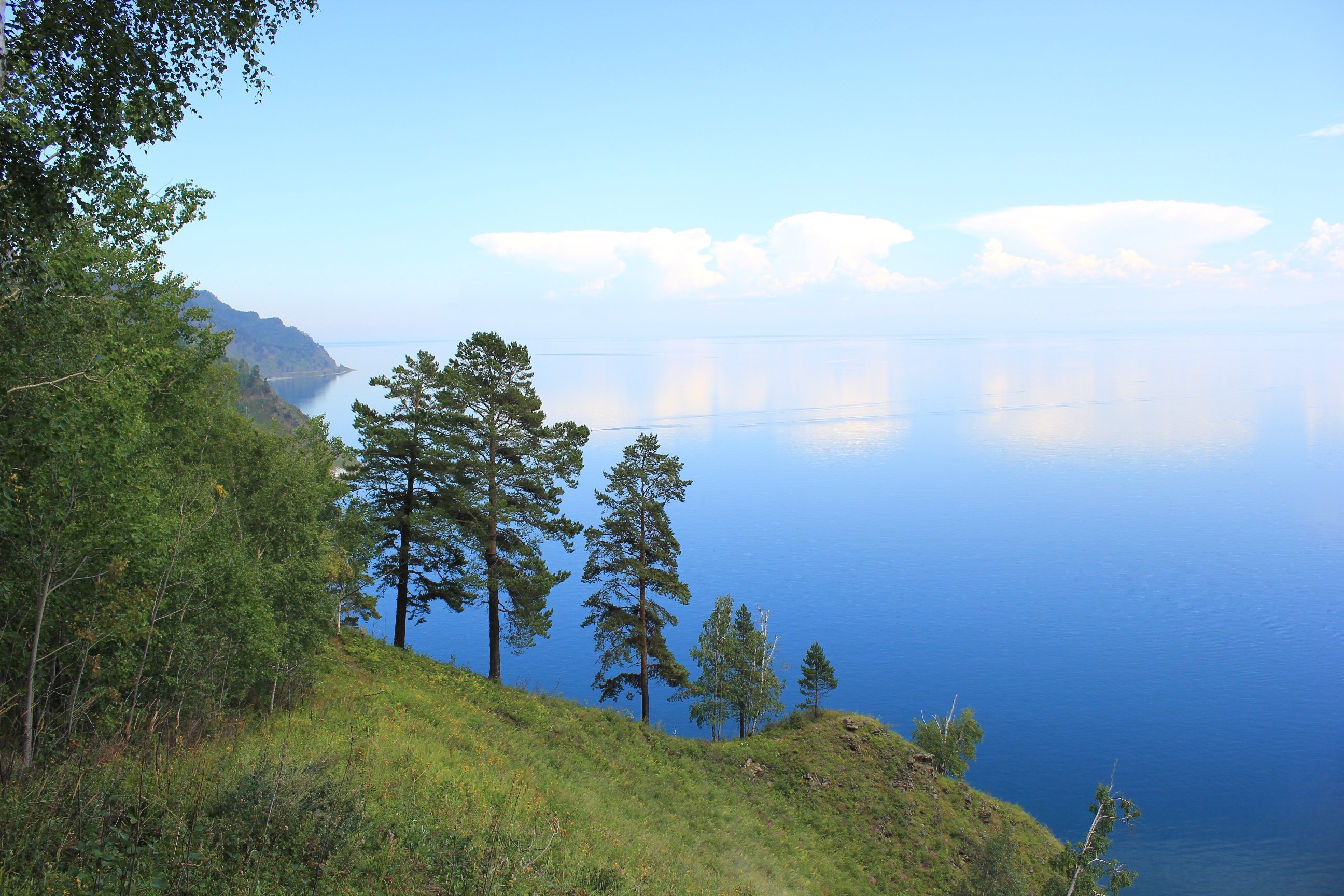 Озера вокруг байкала. Озеро Байкал Тайга. Тайга вокруг Байкала. Горно-Таёжные леса Байкала. Кедровая Тайга Байкал.