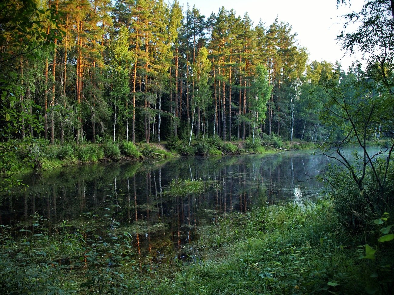 Сосновый Бор речка Белоруссия
