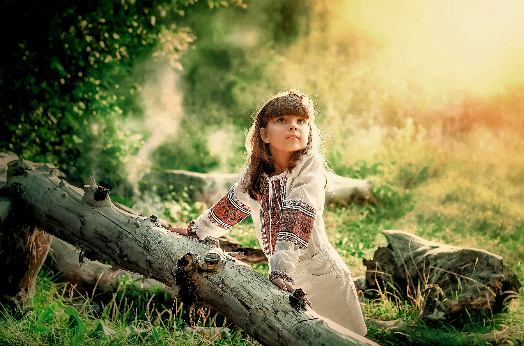 Гуляла девочка в лесу. Девочка в лесу. Фотосессия в лесу. Славянские дети в лесу. Девочки двенадцати лет в лесу.