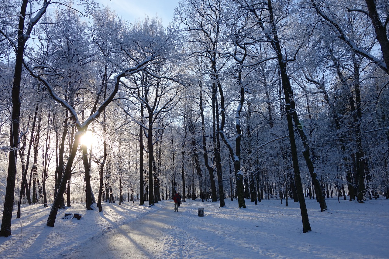Битцевский парк зимой