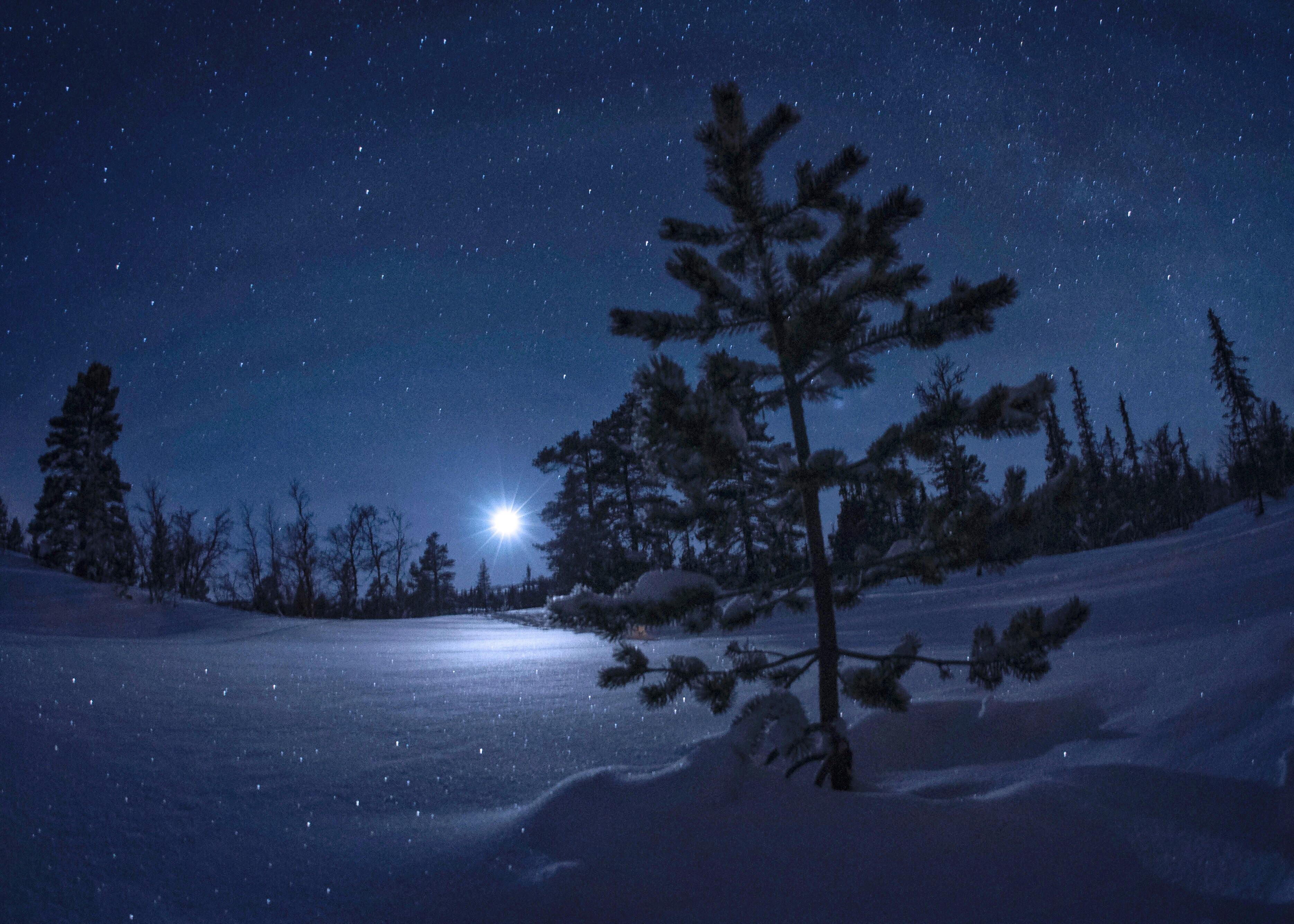 Снежный пейзаж ночью