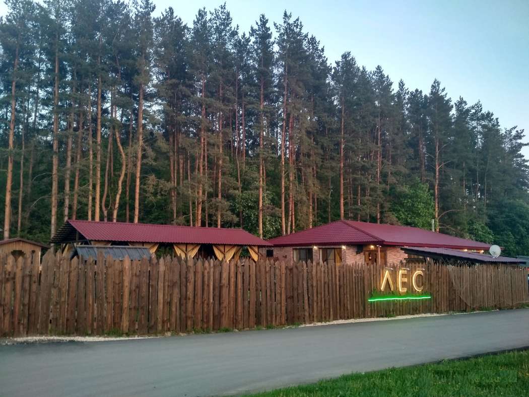 ресторан в лесу воронеж