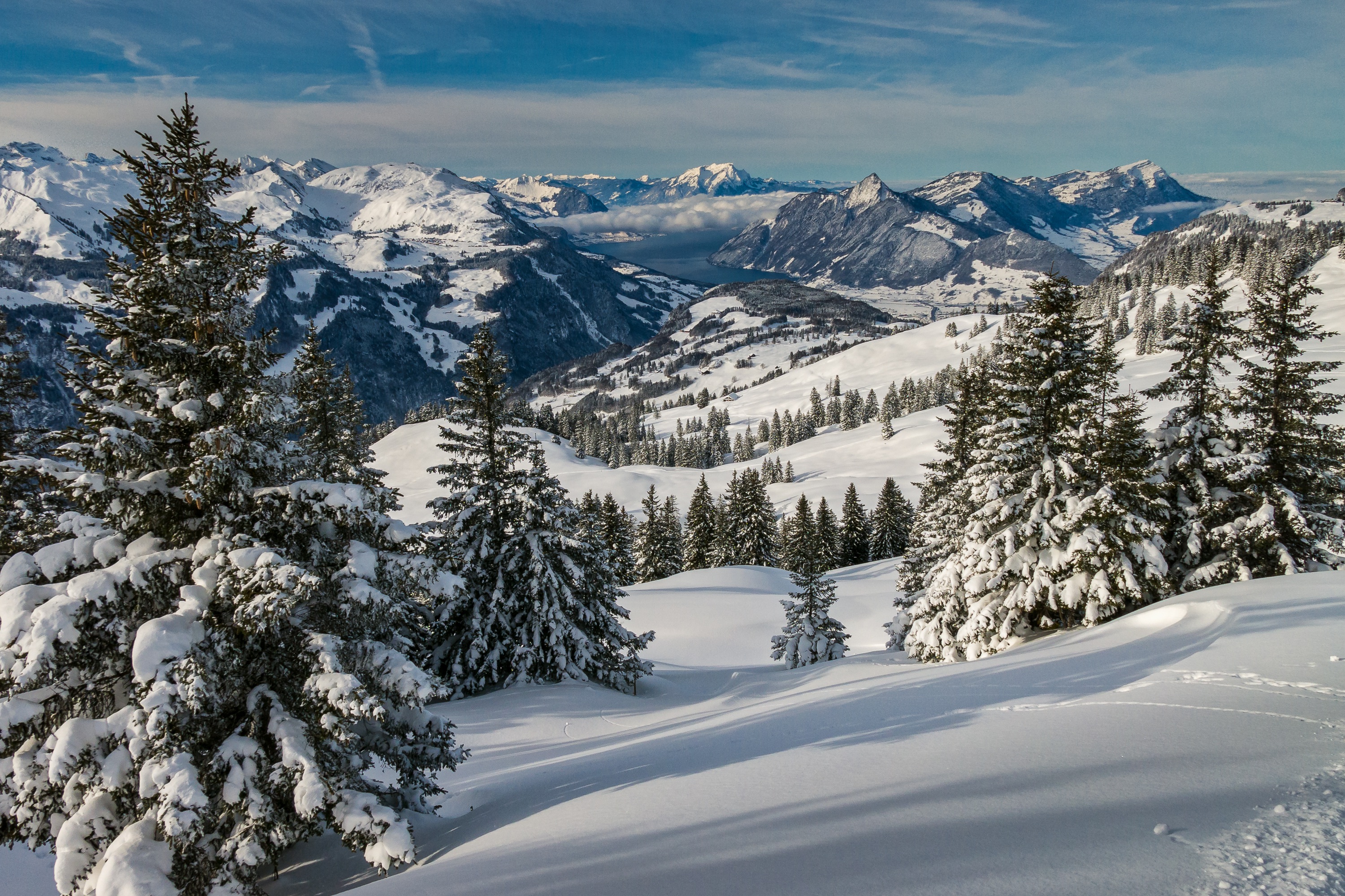 Швейцария Альпы лес зима
