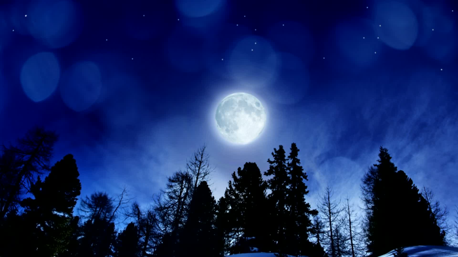 Лунная ночь зимой