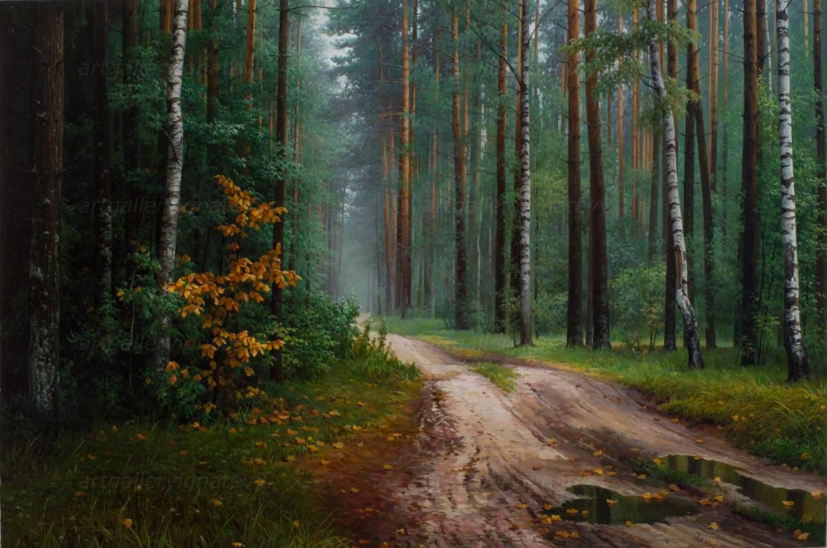 Художник Сергей Трухан картины лес