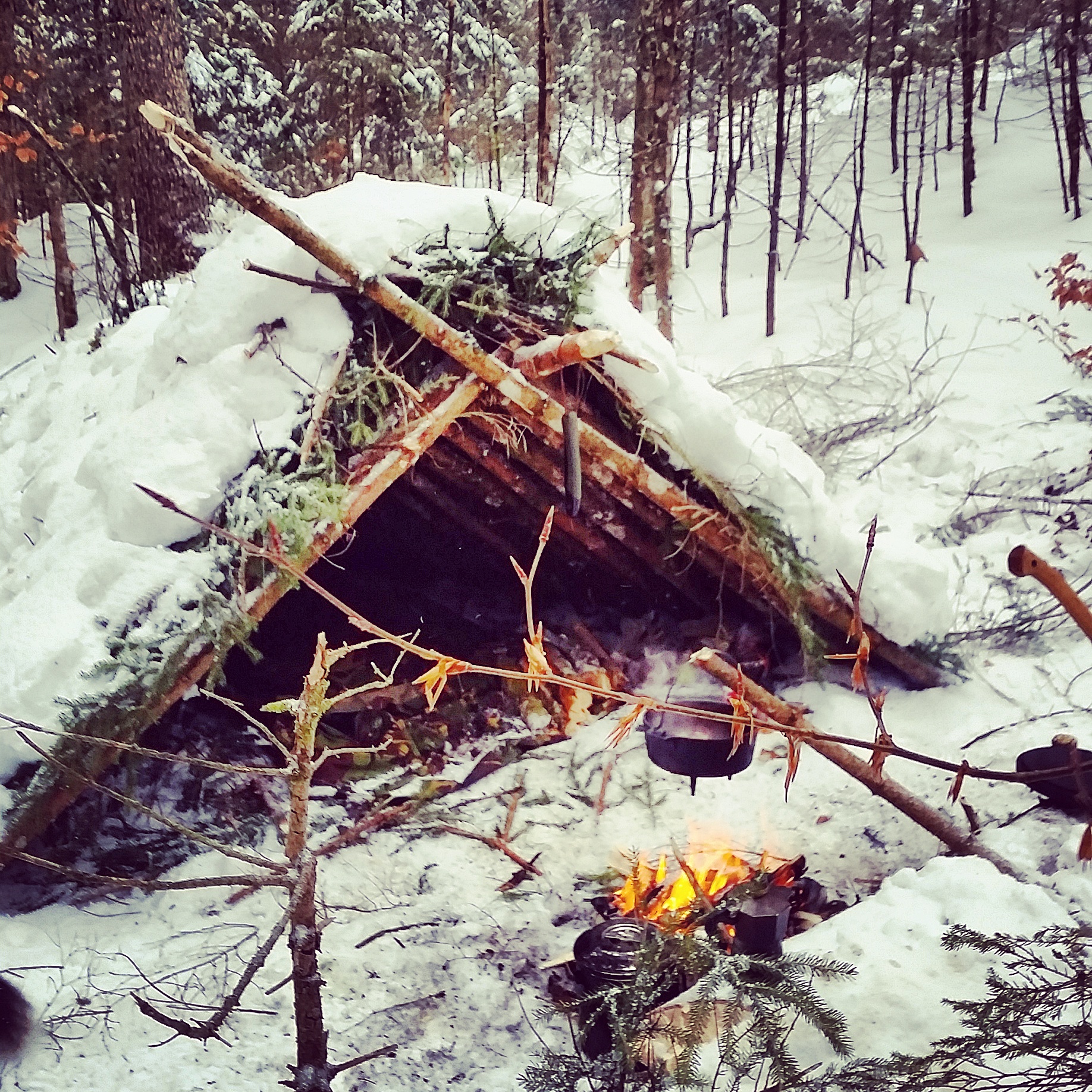 Зимний Шалаш В Лесу