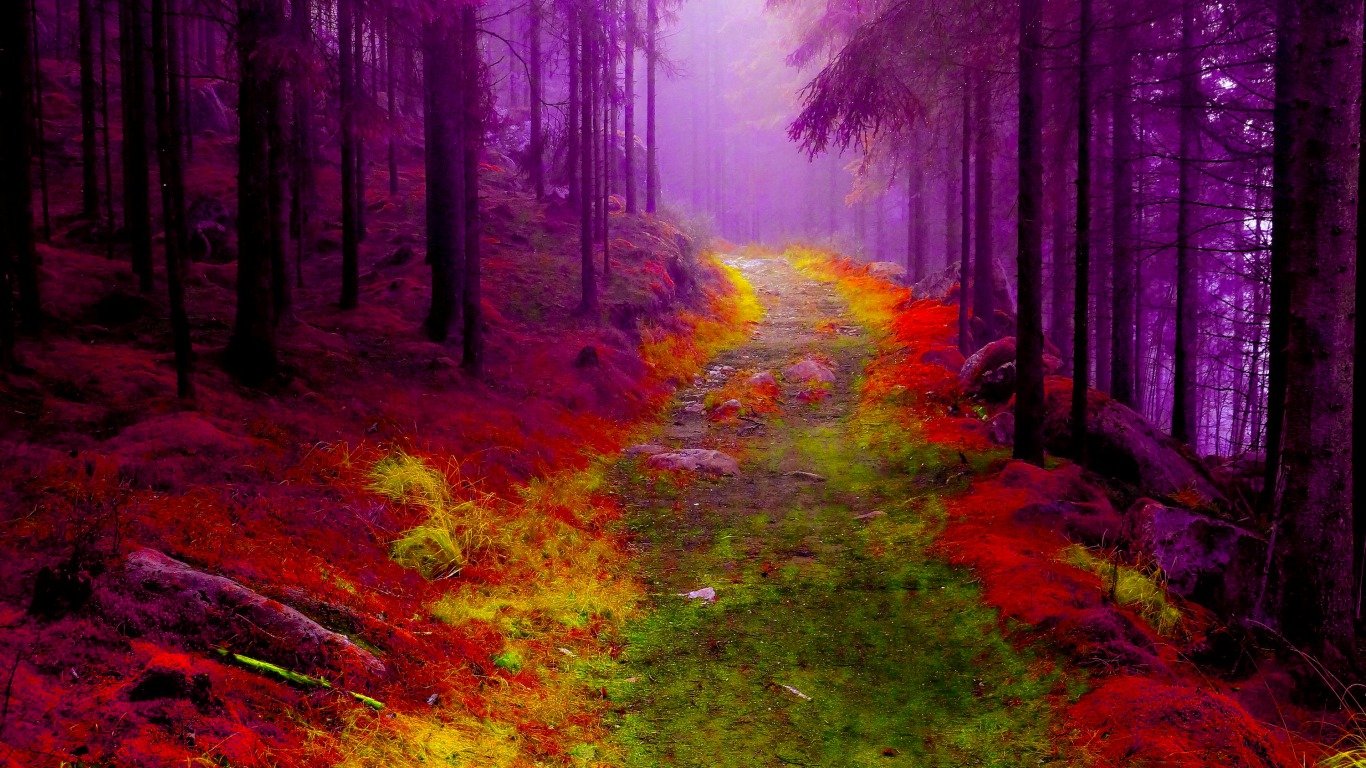 Красочный лес