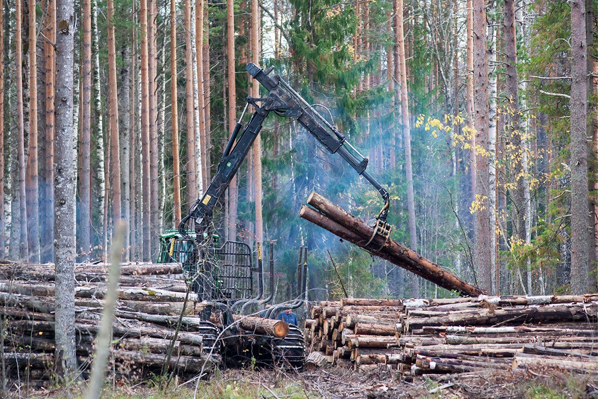 Иркутская область лесозаготовка
