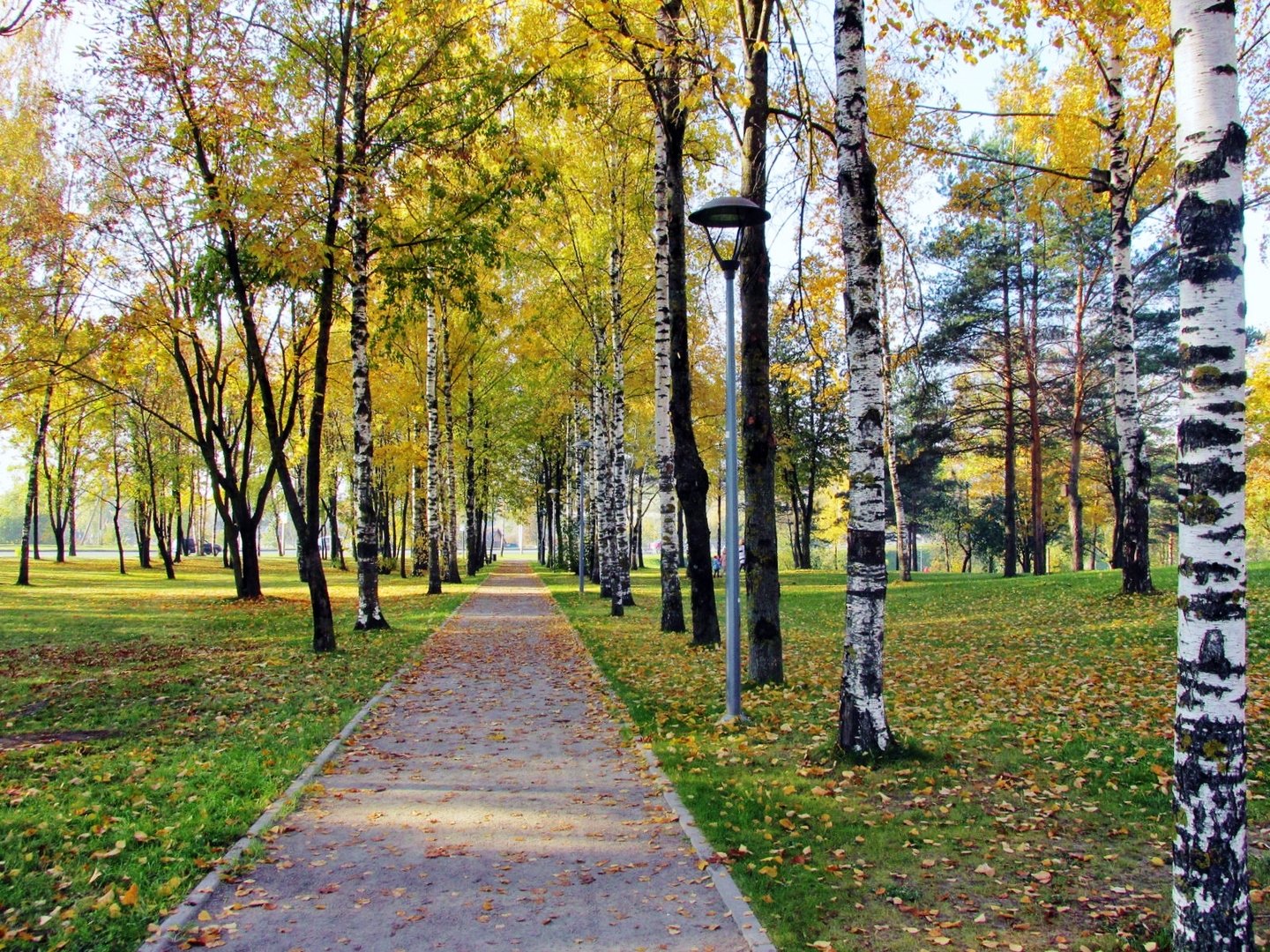 Аллея парк Победы Казань