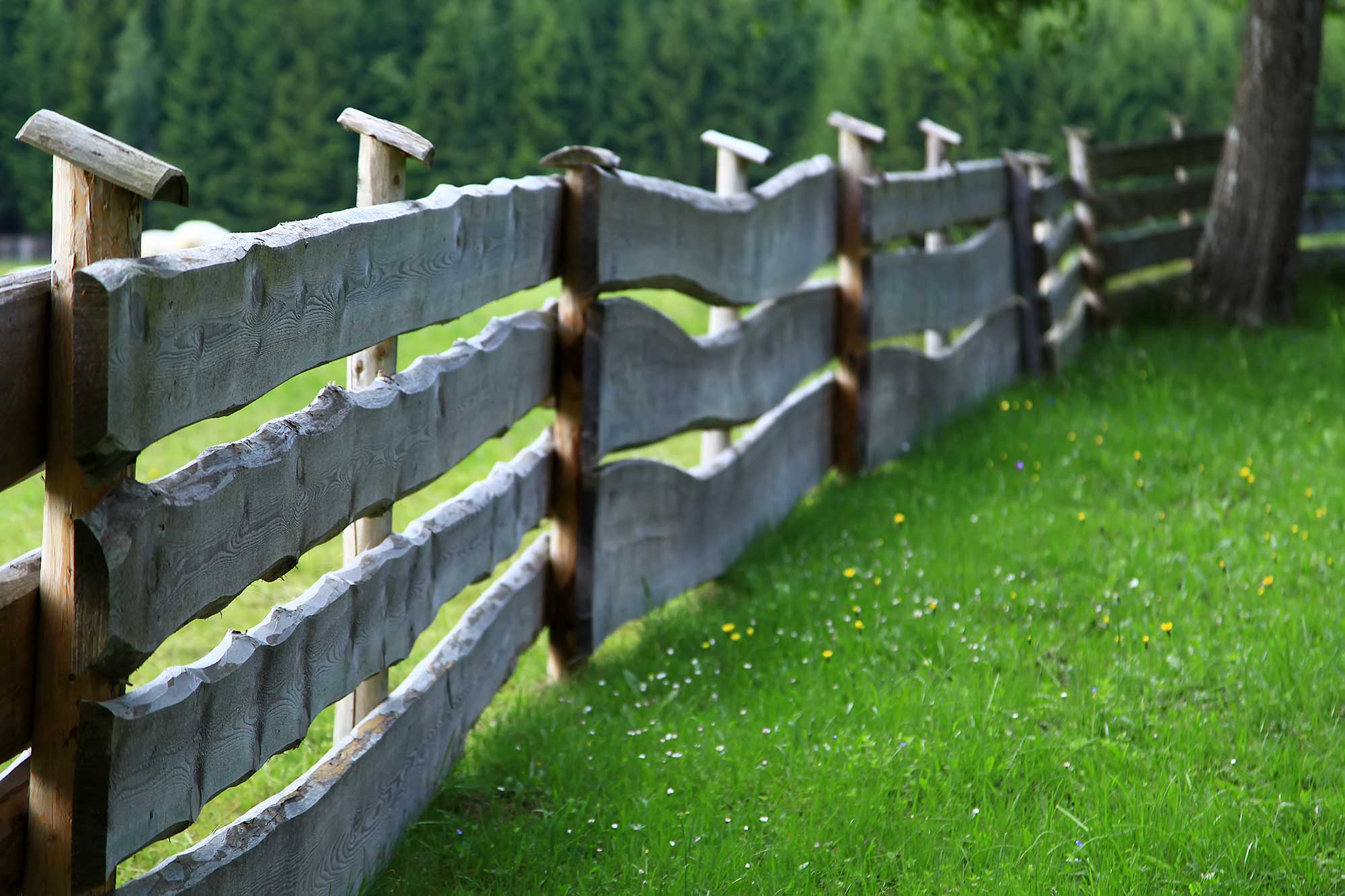 Как сделать забот. Забор Альпийская плетенка. Ламеллярный забор. Красивый забор. Забор из досок.