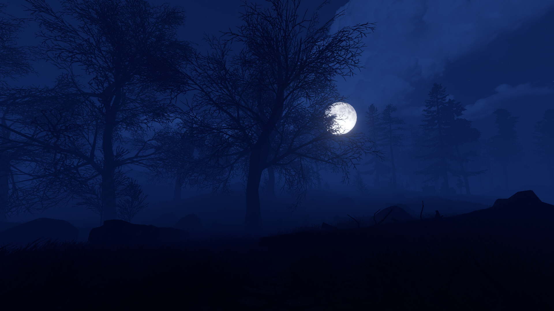 Ночь с луной 4. Ночной лес. Ночной лес с луной. «Ночь в лесу». Страшный ночной лес.