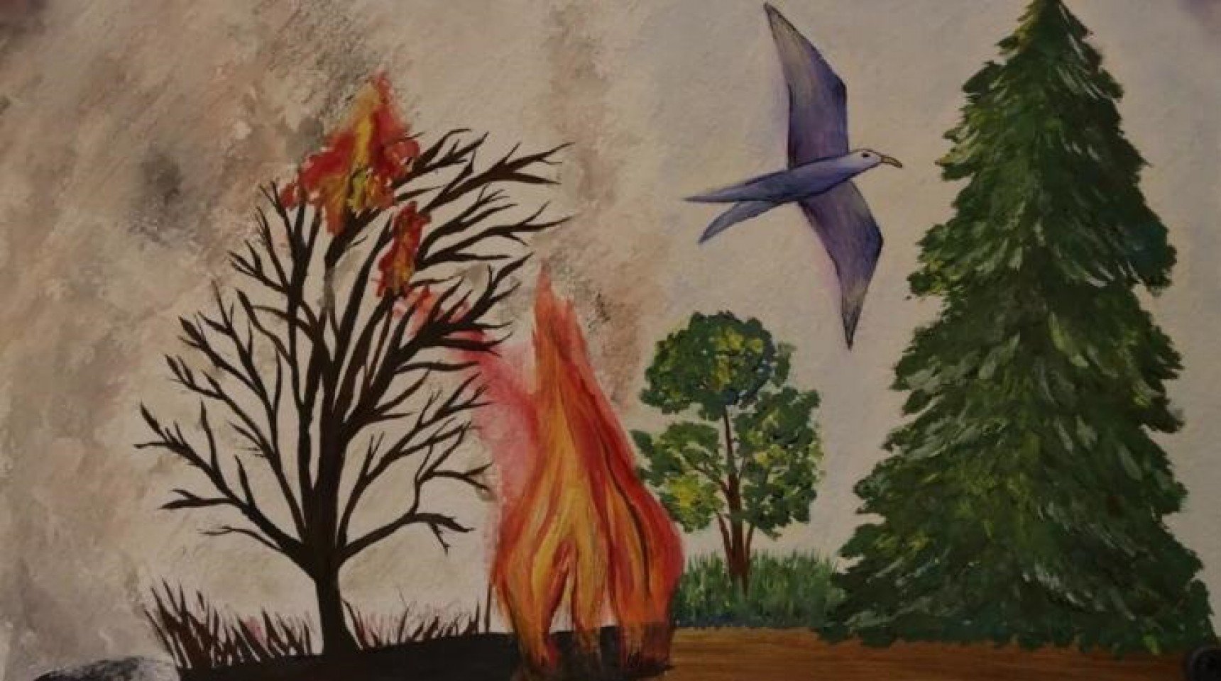Берегите лес от пожара рисование