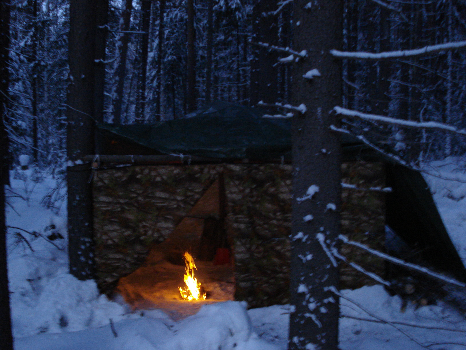 Ночлег в лесу зимой
