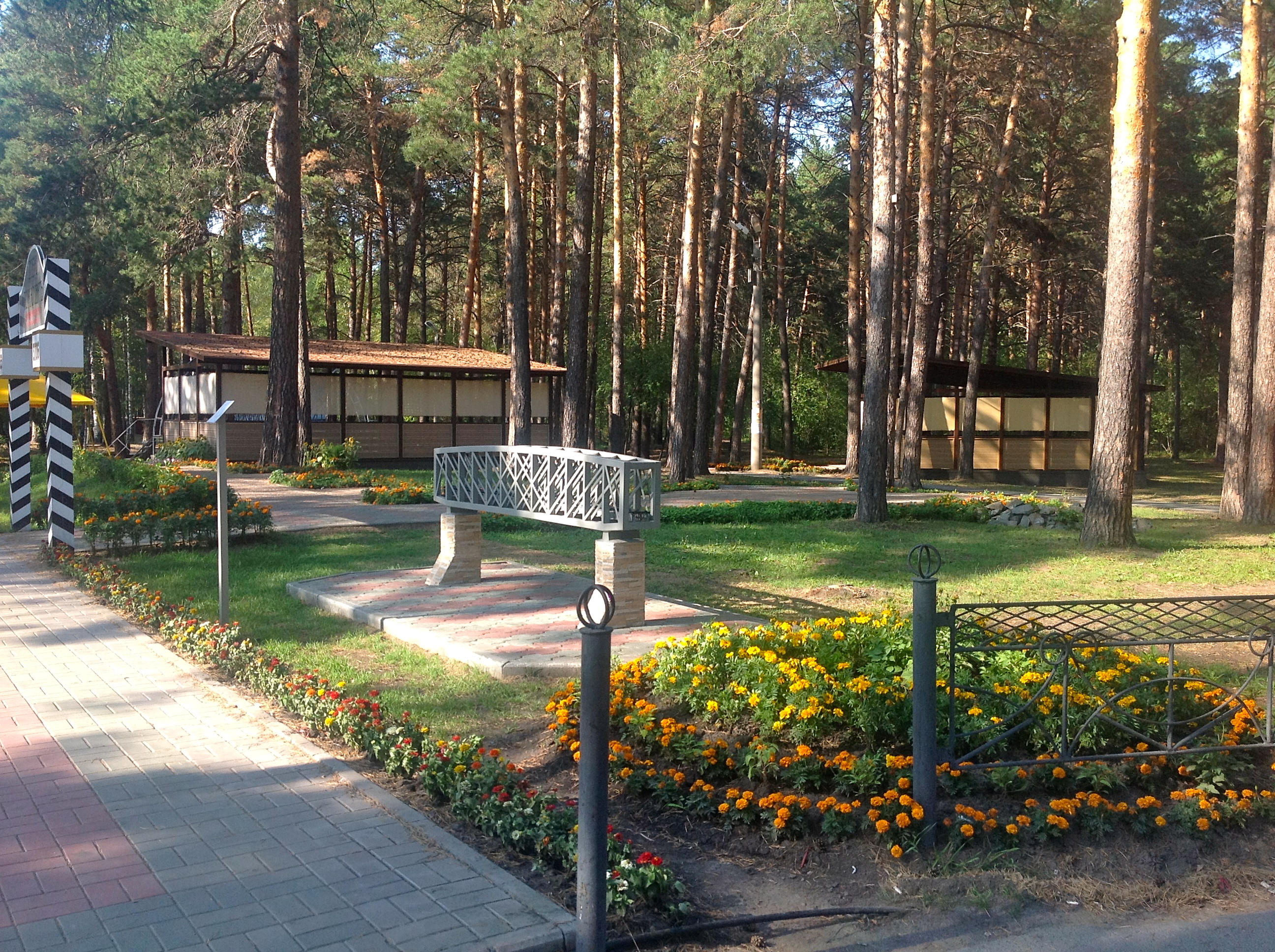 Парк заельцовский парк