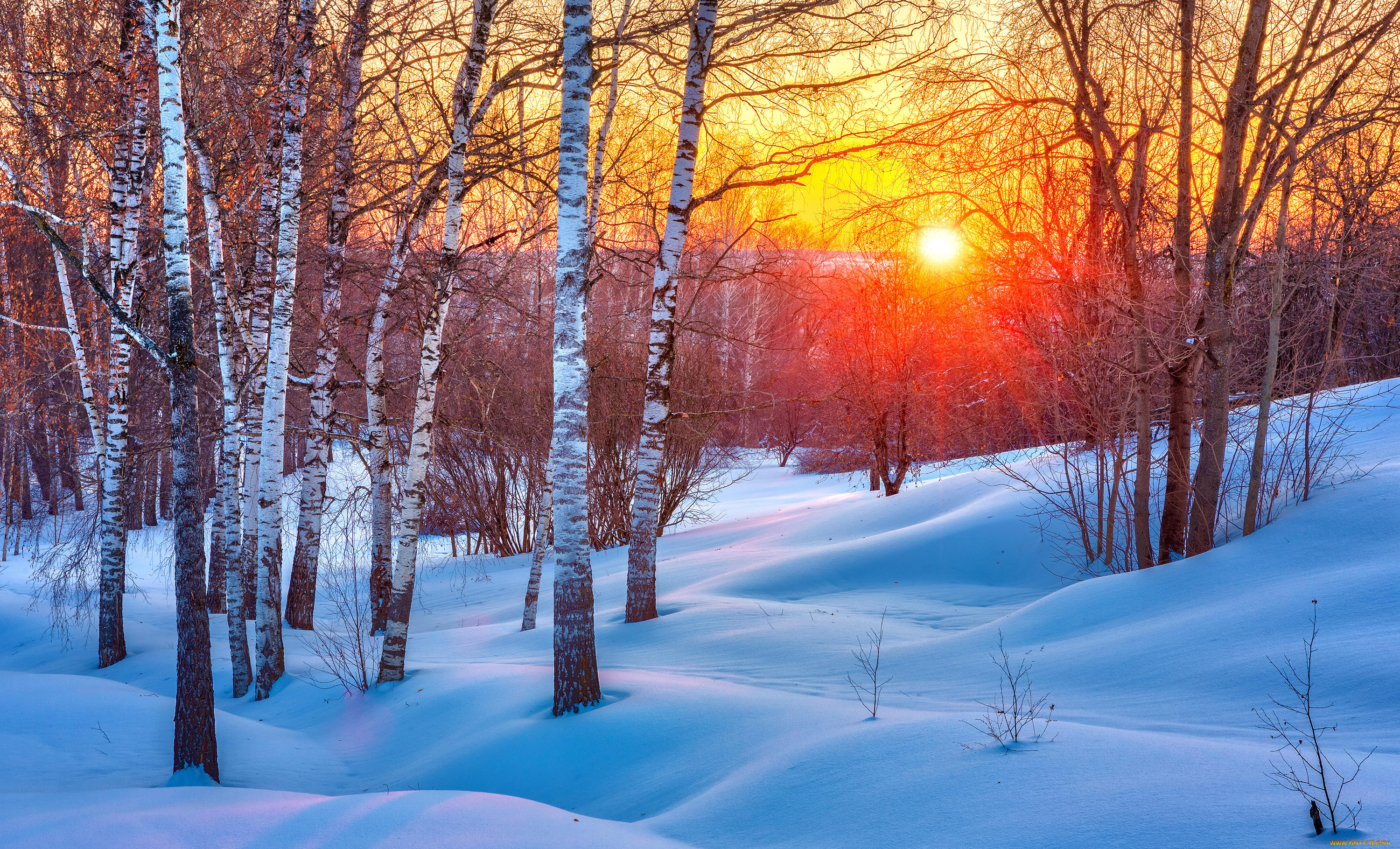 Зимний Солнечный пейзаж