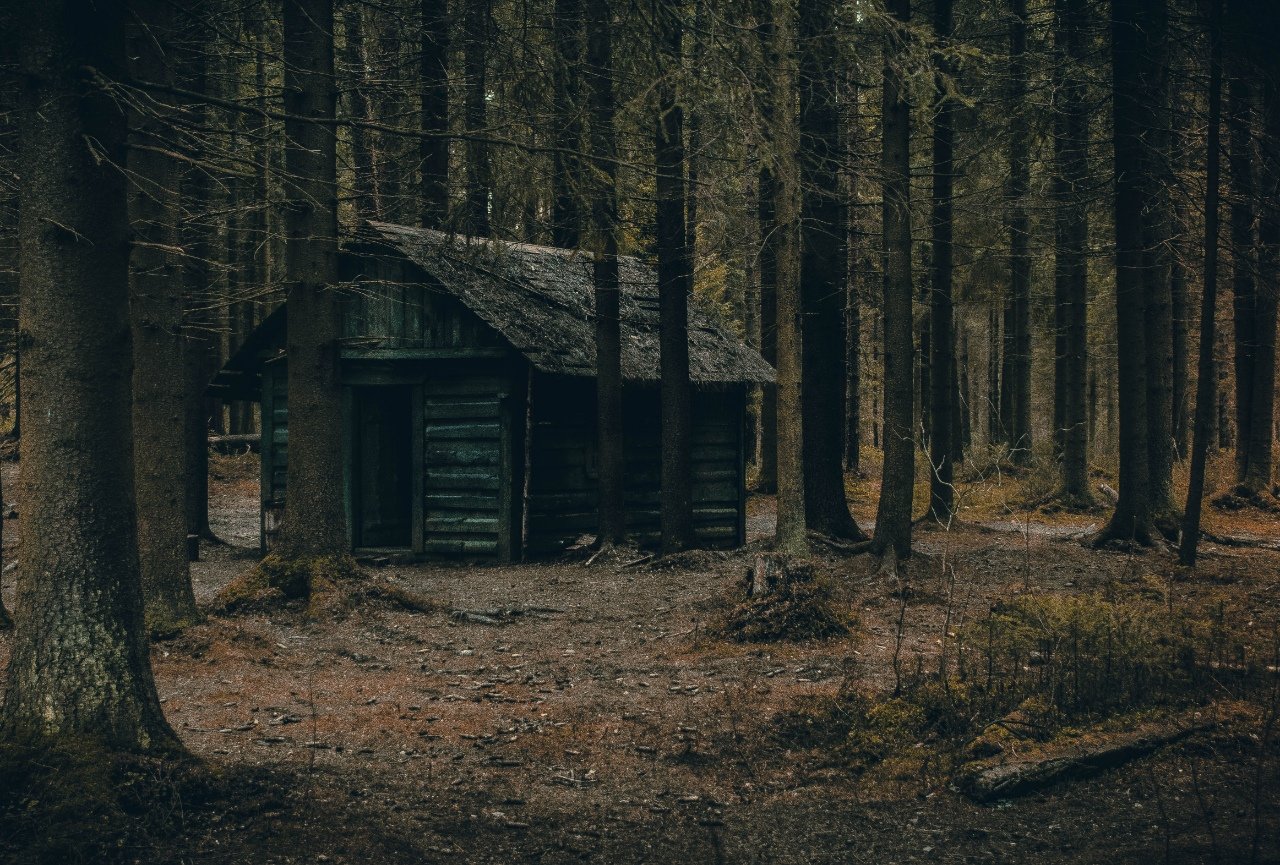 Заброшенный Домик В Лесу