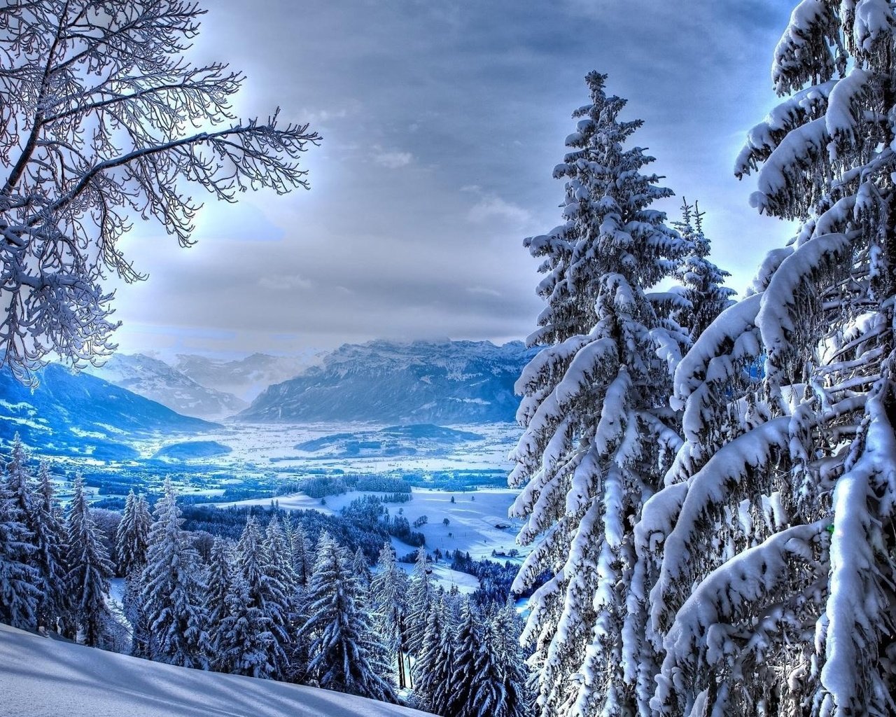 Зима лес горы