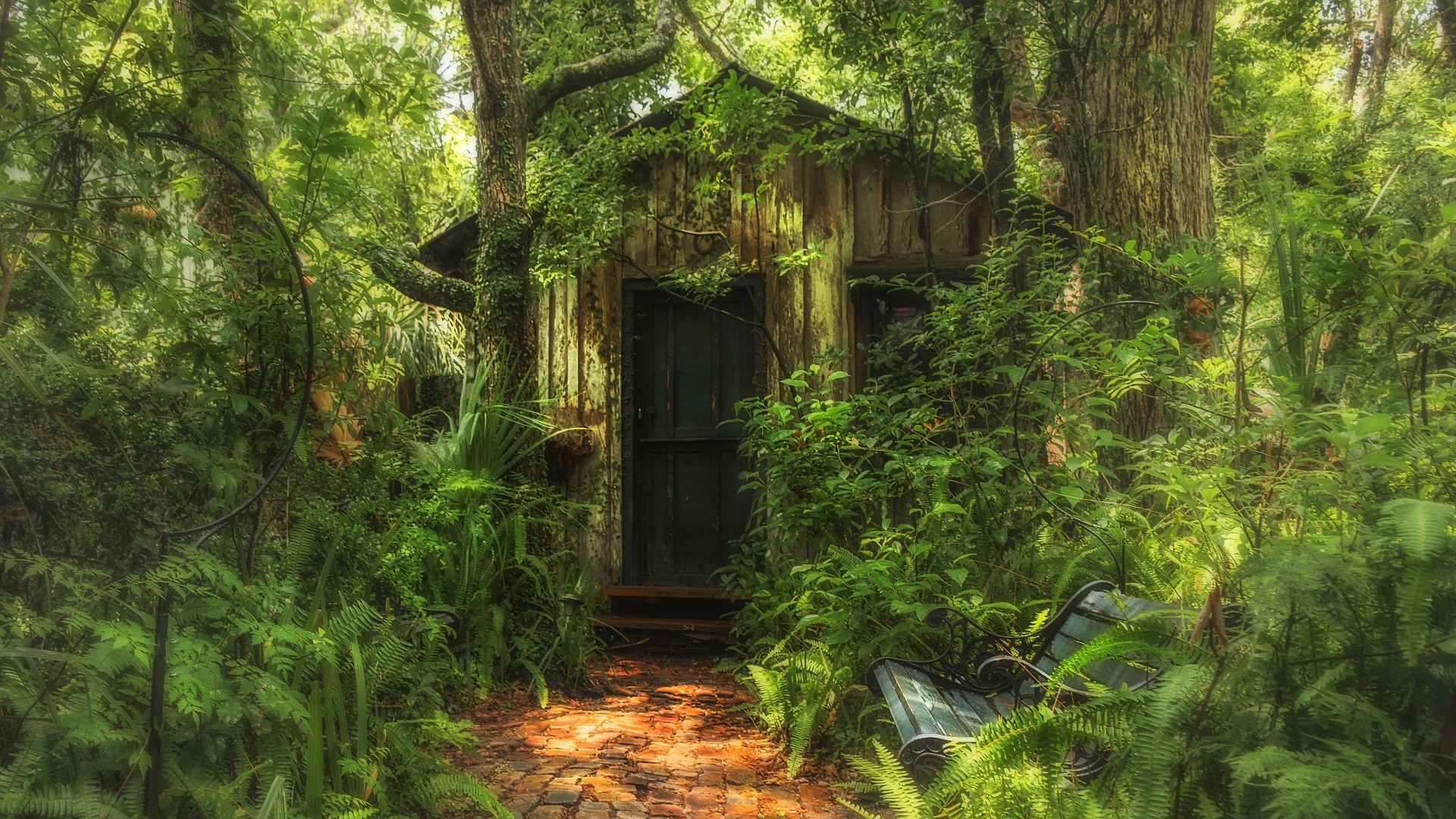 Затерянный проект. Домик в дремучем лесу. Дом в густом лесу. Заброшенное здание в дремучем лесу. Затерянный дом в лесу.