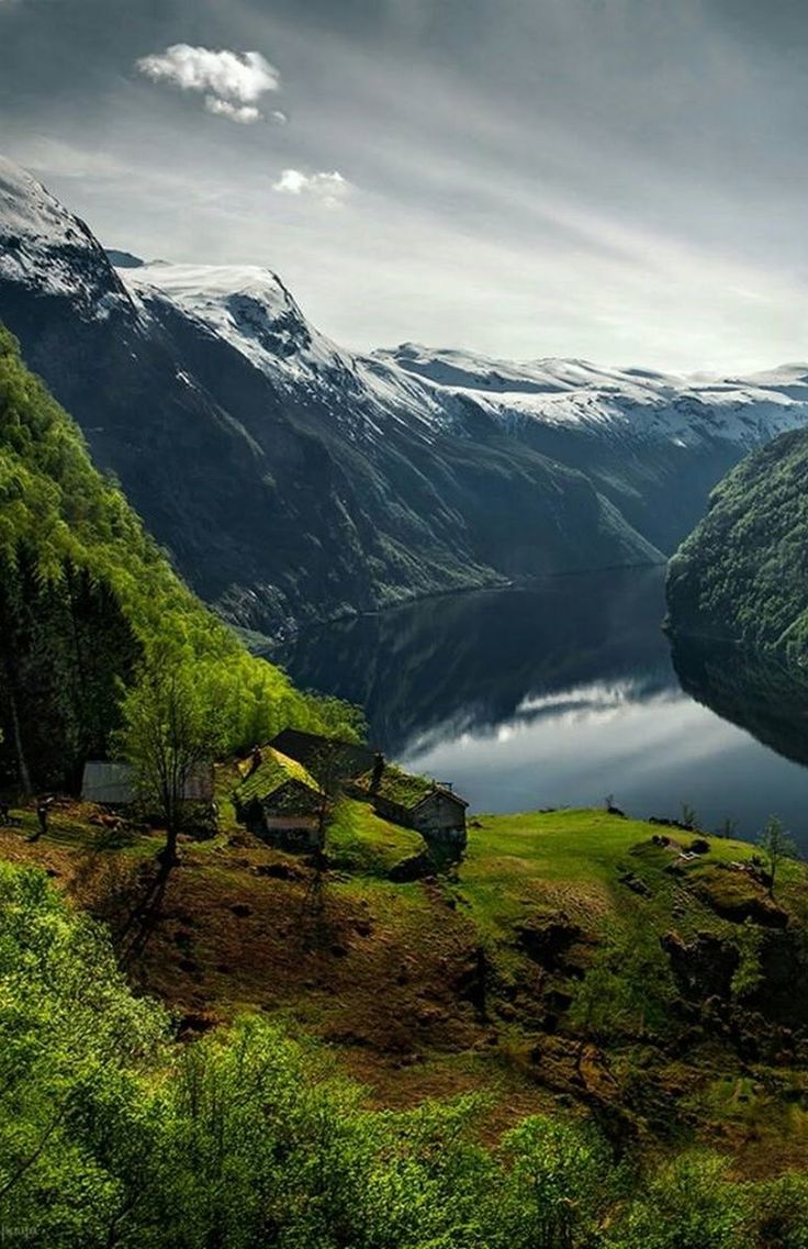 Хедальский лес в Норвегии