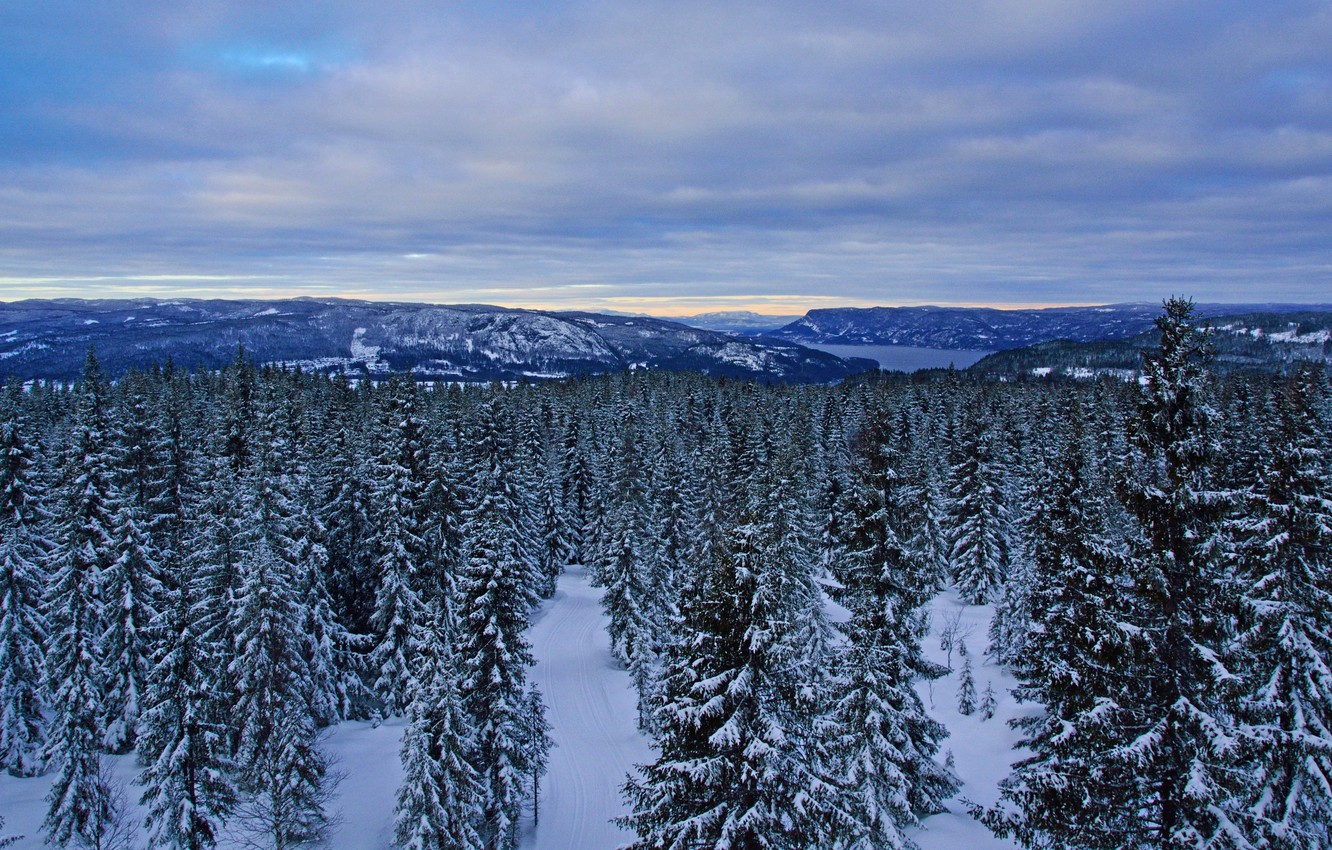 Леса Норвегии зимой