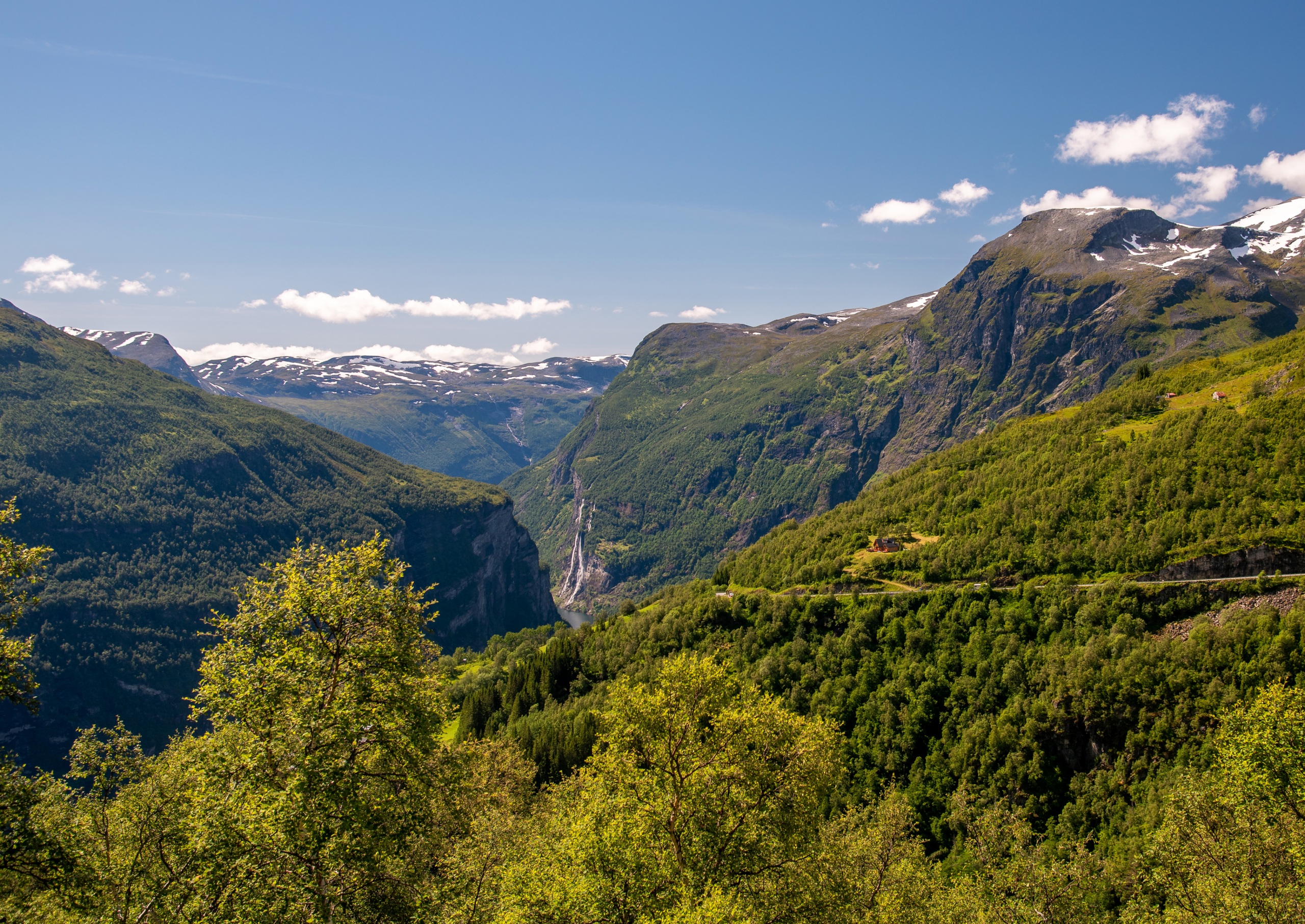 Горы Норвегии с лесами