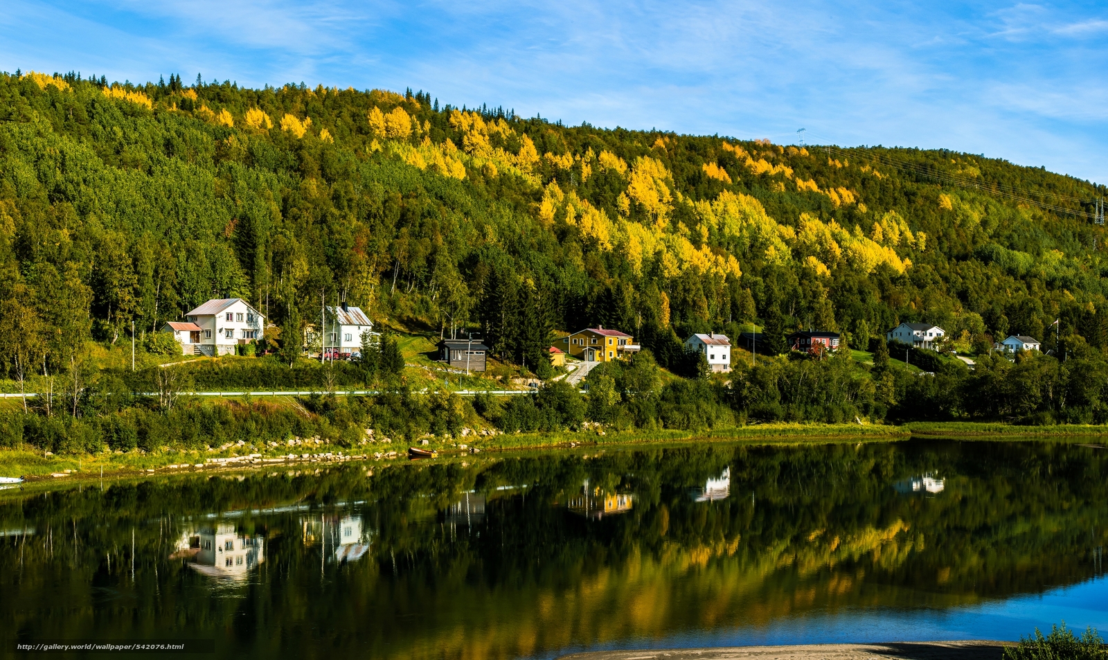 Смешанные леса Норвегии
