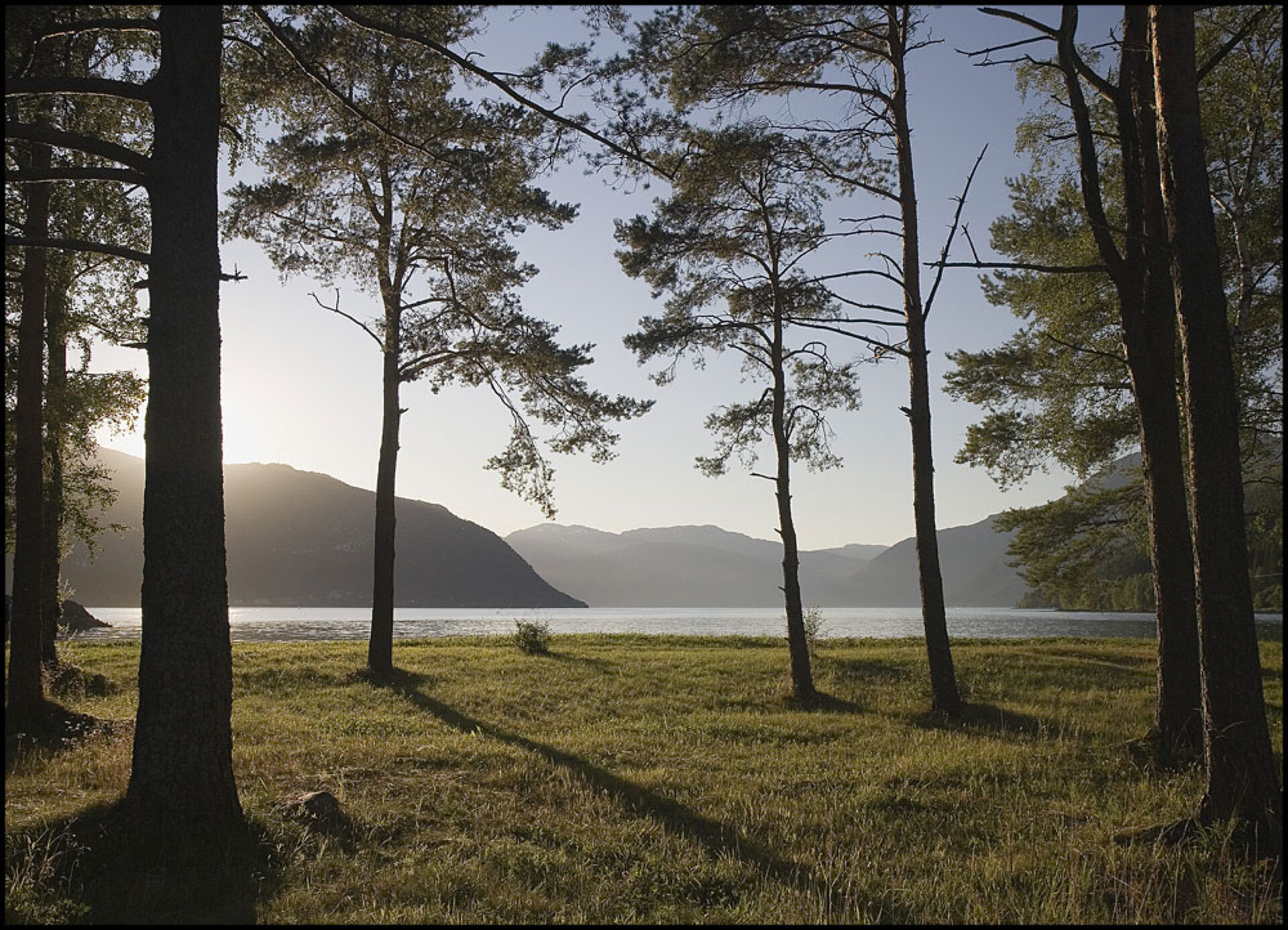 Норвежский лес пейзаж