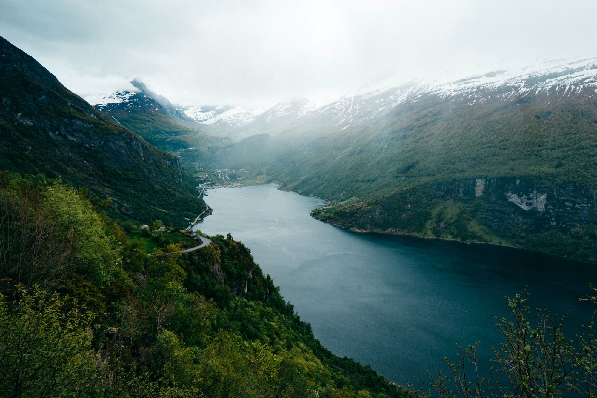 Норвегия фьорды леса