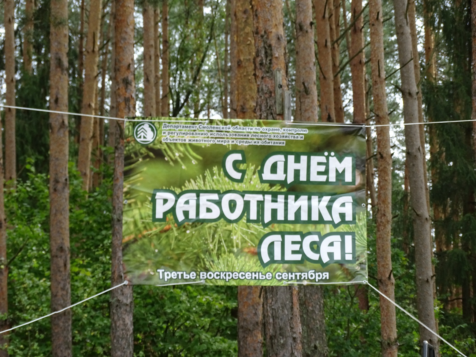 Работники леса баннер