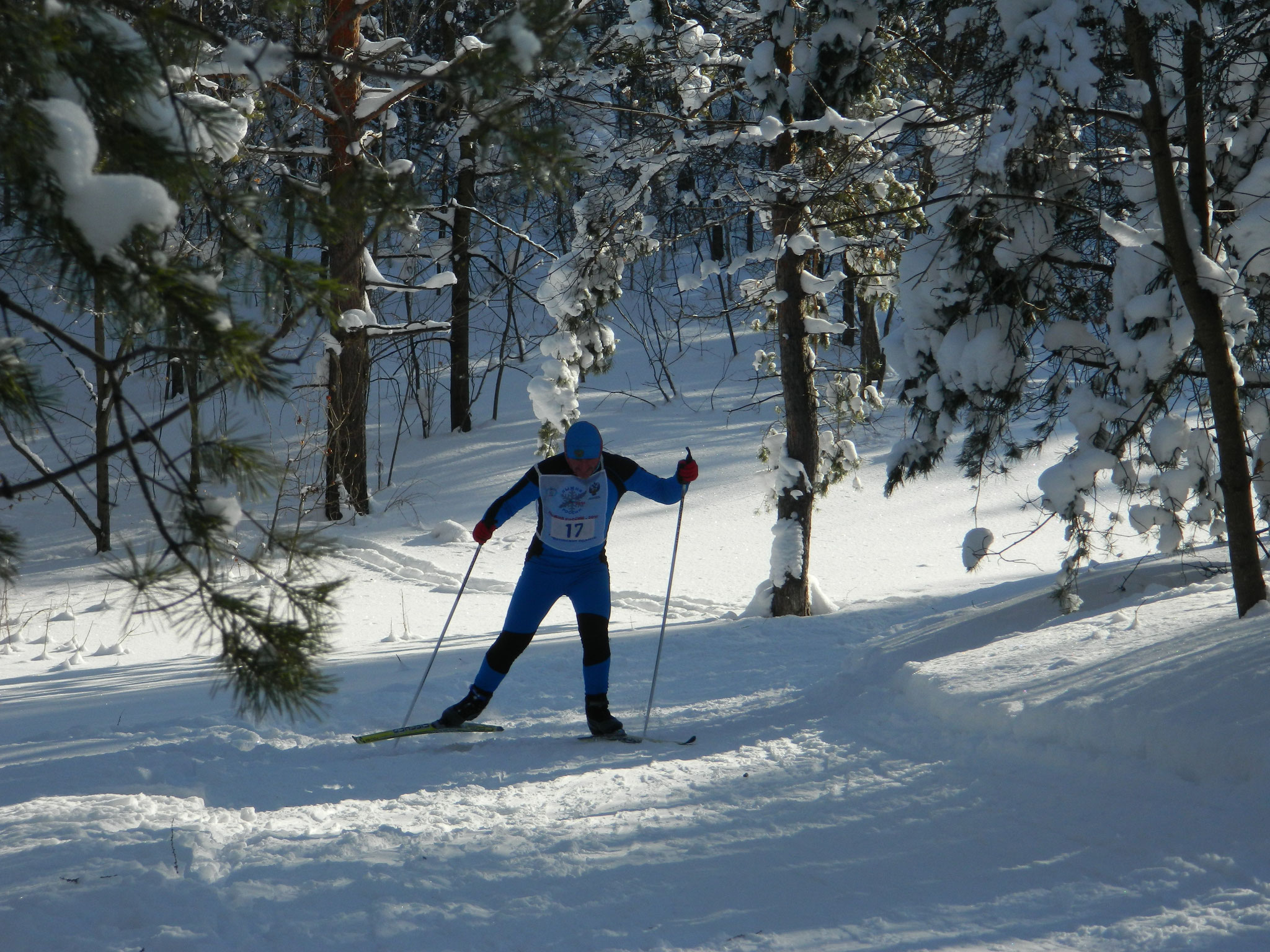 Фото лыжников в лесу