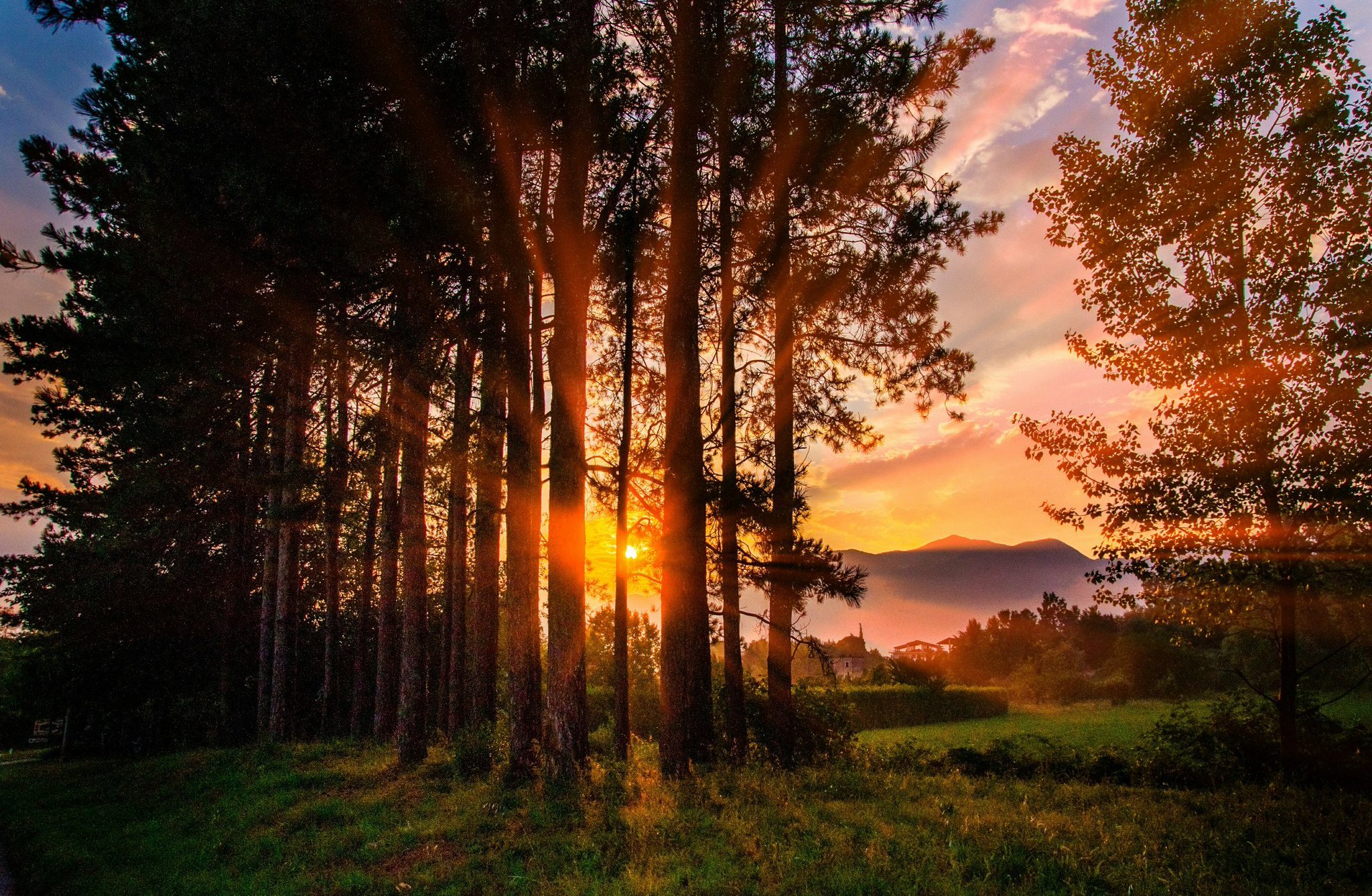 фото восхода солнца в лесу